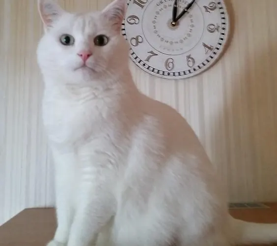 Restaurant Anna 람스타인-미젠바흐