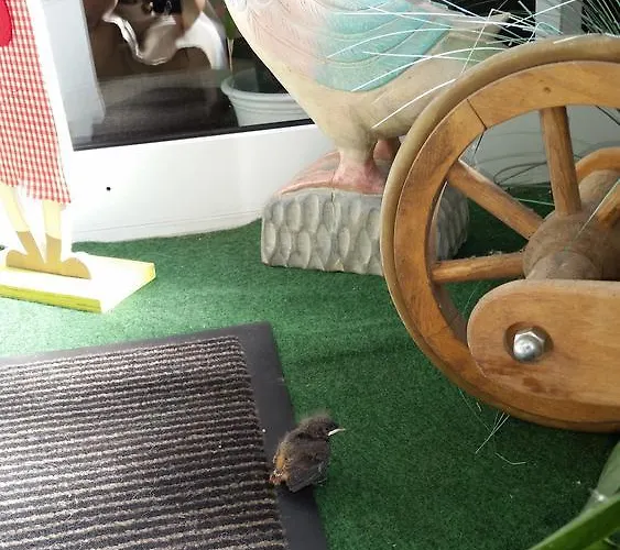 Restaurant Anna 호텔